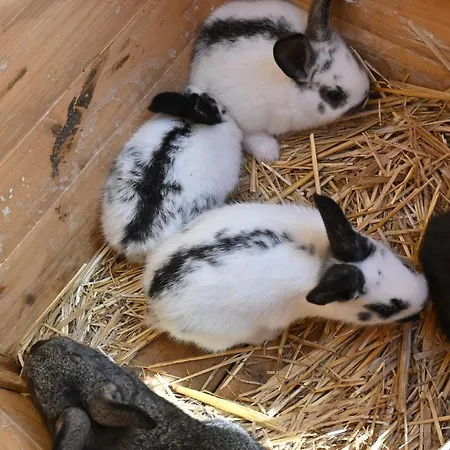 Quinta Ecologica Da Peneda By Peneda Ecofarm Arcos de Valdevez
