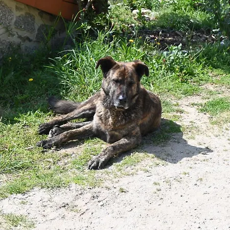Quinta Ecologica Da Peneda By Peneda Ecofarm * Arcos de Valdevez
