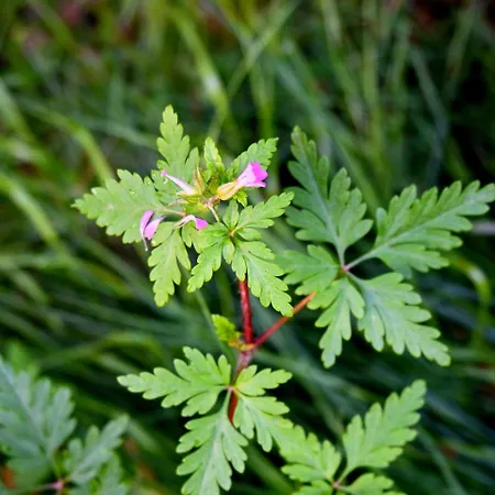 Quinta Ecologica Da Peneda By Peneda Ecofarm Arcos de Valdevez