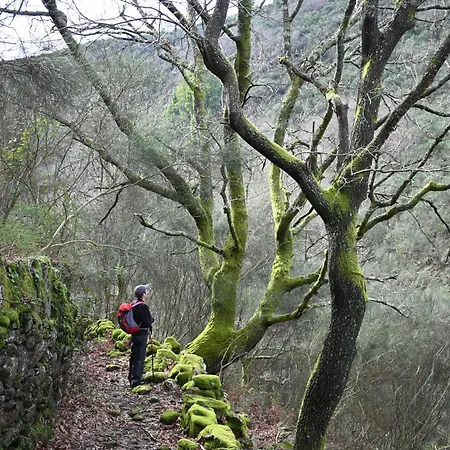Quinta Ecologica Da Peneda By Peneda Ecofarm Farm stay *