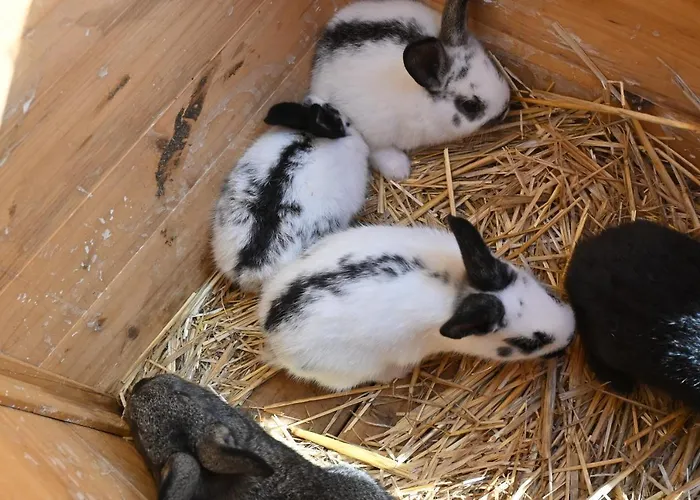 Quinta Ecologica Da Peneda By Peneda Ecofarm اركوس دي فالديفيز