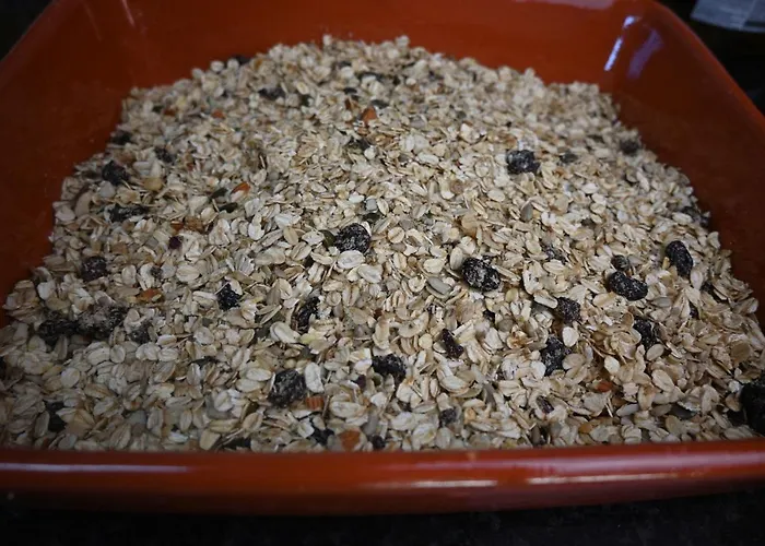 Quinta Ecologica Da Peneda By Peneda Ecofarm مزرعة للإقامة اركوس دي فالديفيز