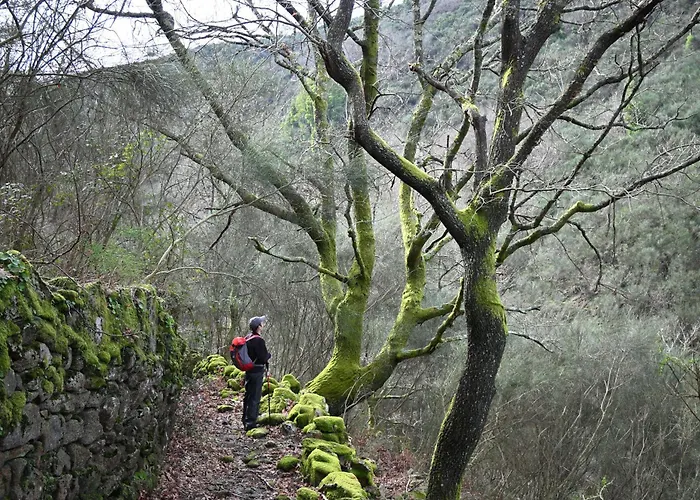Quinta Ecologica Da Peneda By Peneda Ecofarm مزرعة للإقامة *